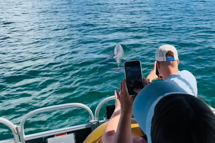 Destin Boat Ride with Cruise Destin Bay gmmdl8P8