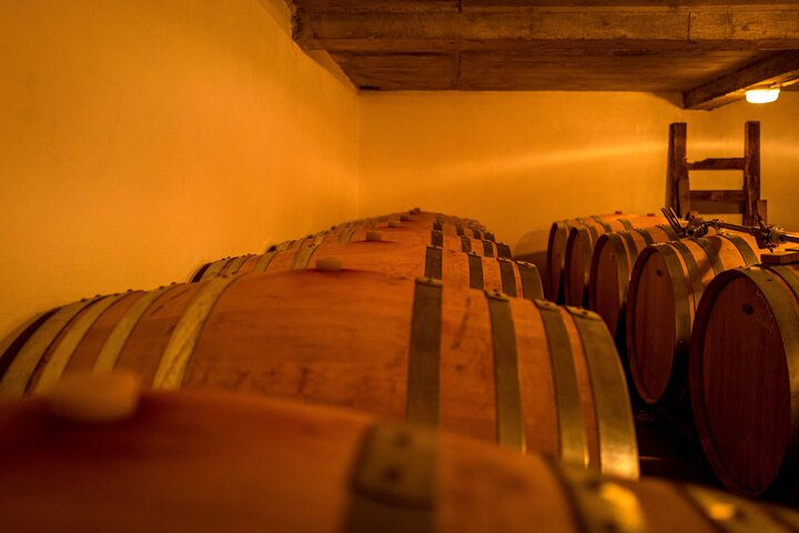 Private Half day E-Bike Tour and Lunch With A WineMaker zTa4fQuT