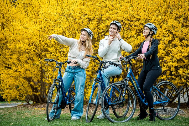Central Park Bike Rentals 8tUyf4em