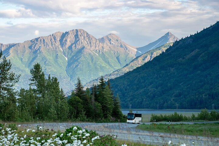Seward to Anchorage Wildlife Adventure B4Sr5duv