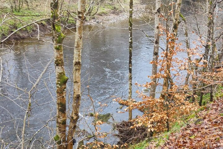 Birks of Aberfeldy: Highlands and the Tay Self Guided Audio Tour UkzLfRWA