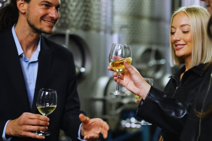 Chattanooga Wine Tasting with Art Sightseeing Tour 7pZ1WtrF