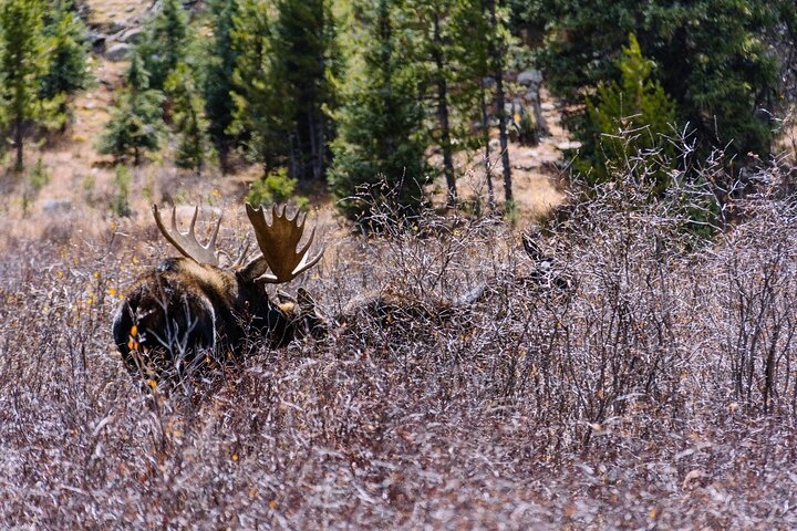 Aspen via Independence Pass Private Colorado Adventure Tour Qqb4ho3Z