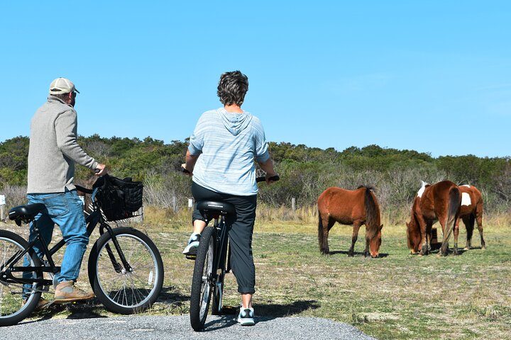 Bicycle Rental from Visitor Center location at Assateague, MD 64Igxndy