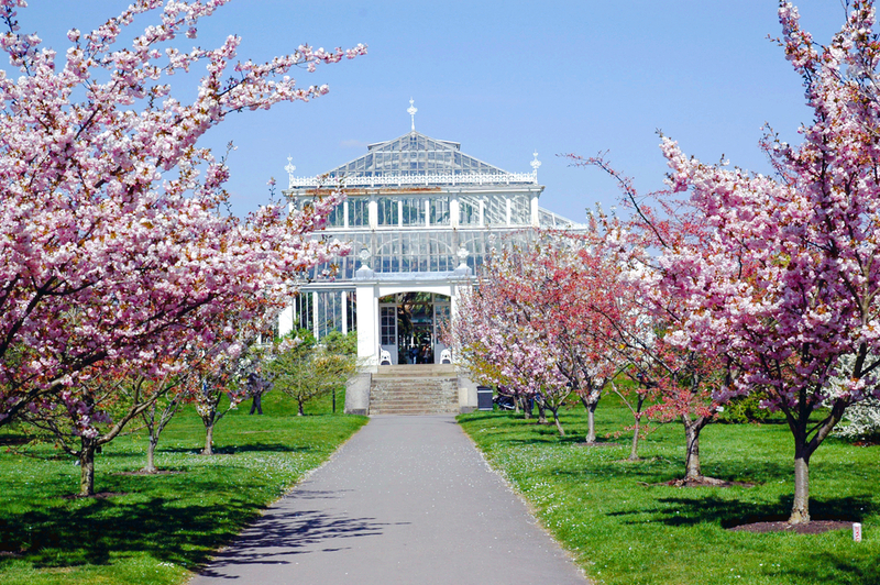 Royal Botanic Gardens, Kew DjjoCGzS