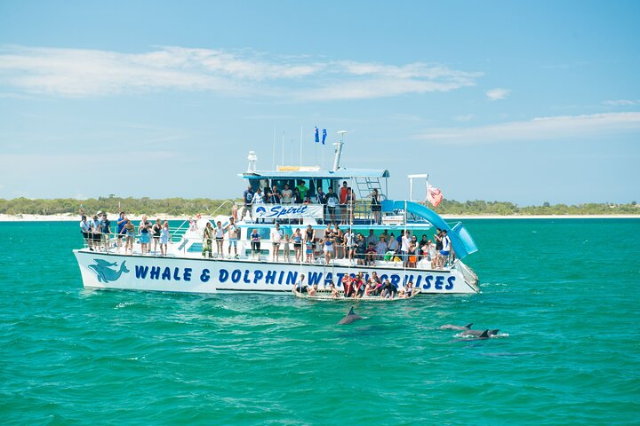 Newcastle: Animal Lovers Tour - Kangaroos, Dolphins & more! m1CUDJIV