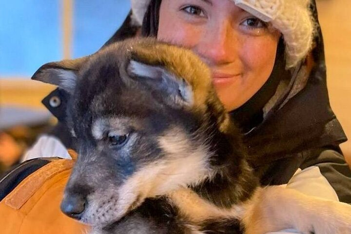 Dog Sledding & Animal Adventures – Anchorage Pickup W212OakL