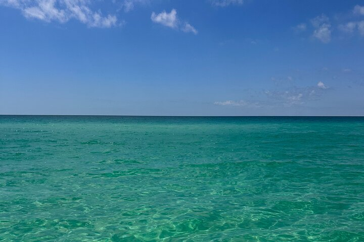  3 Hour Dolphin Tour and Snorkeling in Shell Island tOA22FFP