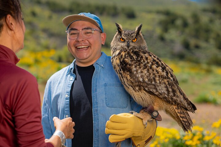 Experience Raptors and Falconry in Reno 2bA54jDd