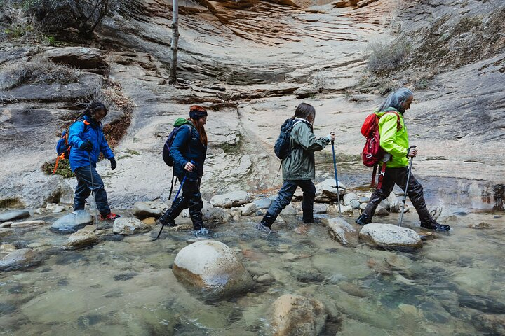 The Famous Narrows Trail in Zion National Park Tpype9Wf