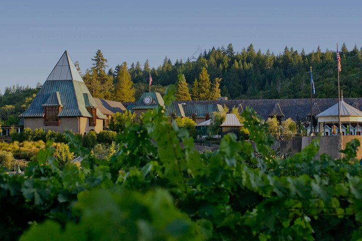 6 Hours Private Wine Tour in Healdsburg Featuring Coppola Winery o0KcKm78