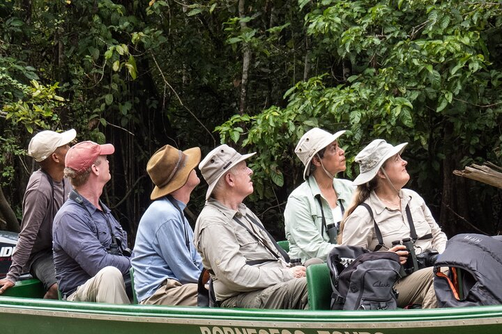 Sandakan 2D1N Sepilok Orangutan, Sunbear & Kinabatangan Cruise JYG8Ra7Q