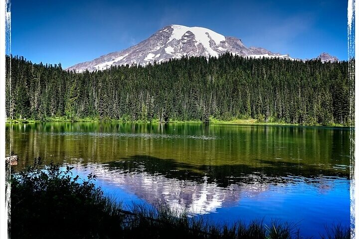 From Portland to Mt. Rainier Tour in a Small Group zh5f2668