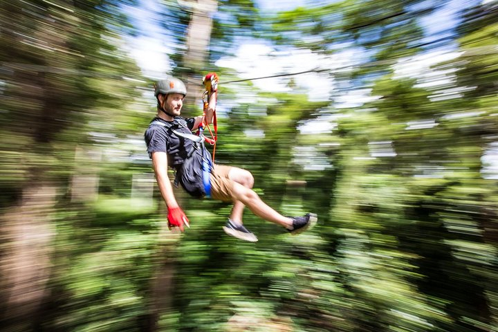 Sunshine Coast Adventure Park TreeTop Challenge 2EZTfPcM