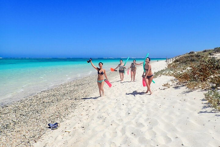 Ningaloo In A Full day Hike and Snorkel Tour tlYpj9ZG