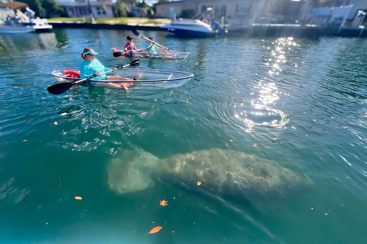 Crystal River: Three Sisters Manatee Clear Kayak Tour Free Photos 9cvaWfbs