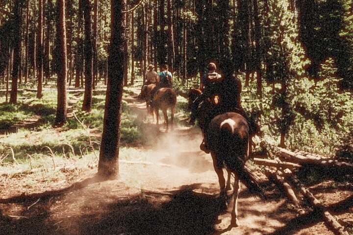 Guided Horseback Trail Rides 0441Tliq