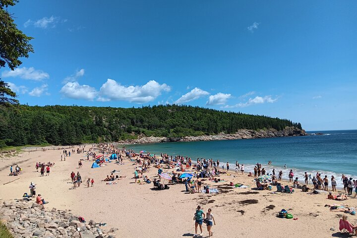 Acadia Woody's Utmost Coast 3 Hour Driving Tour 2rouGuXl