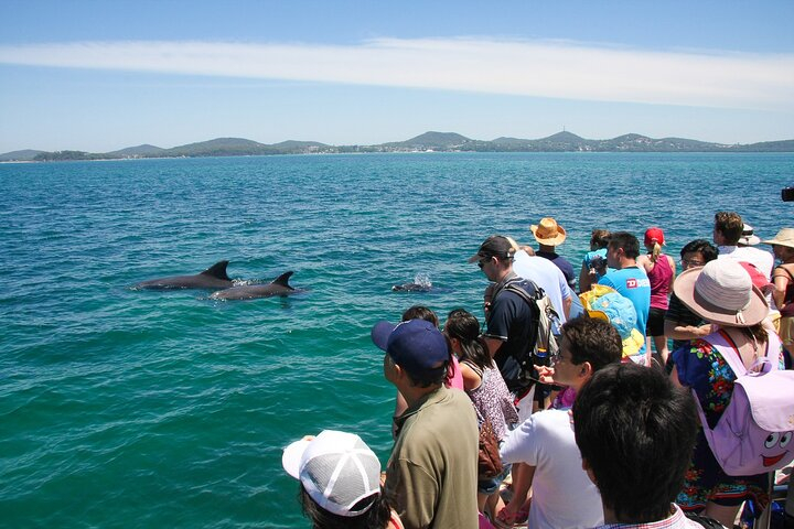 Port Stephens: Dolphin Discovery Cruise L8mVHFth