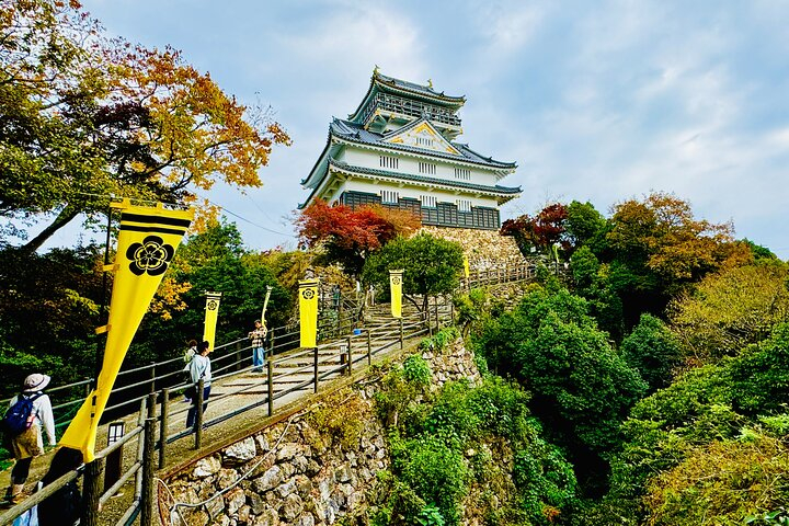 2 Hour Private Scenic Mountain Castle Tour in Gifu MH0765Hf