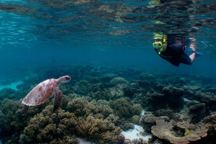 3 Night Ningaloo Reef Snorkel and Dive Getaway from Coral Bay Sk28dFfm