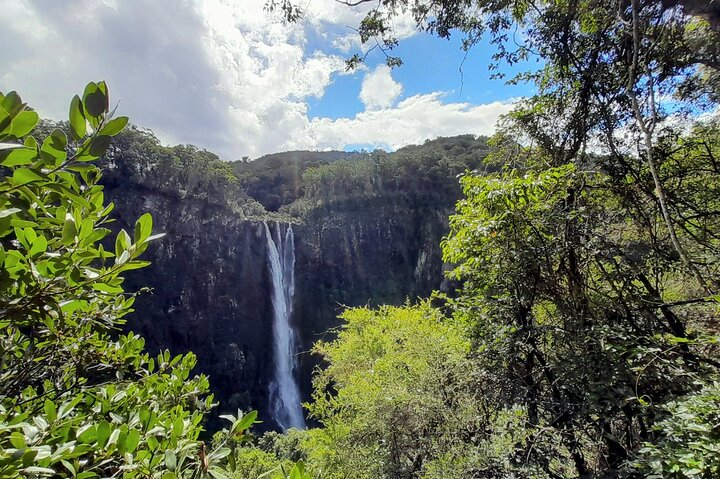 Port Macquarie day tour to Ellenborough Falls & Comboyne Rock  XjEq9N33