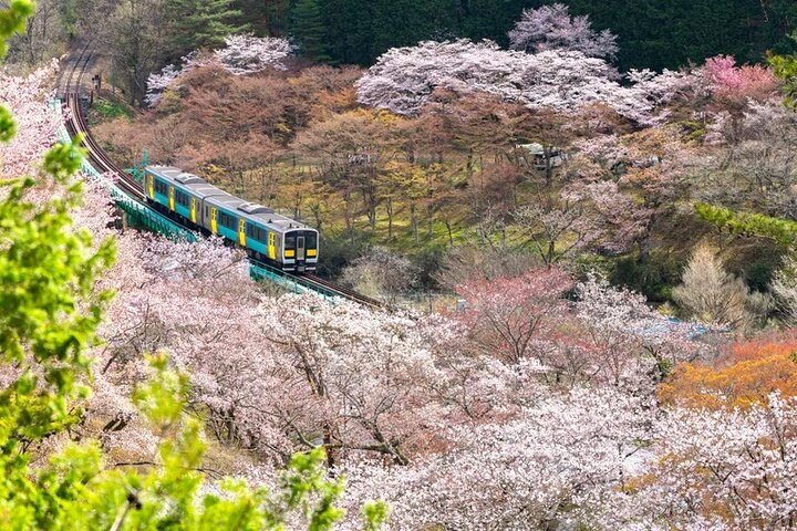 North Ibaraki Tour Lunch & Entrance fee included YqJqN8g2