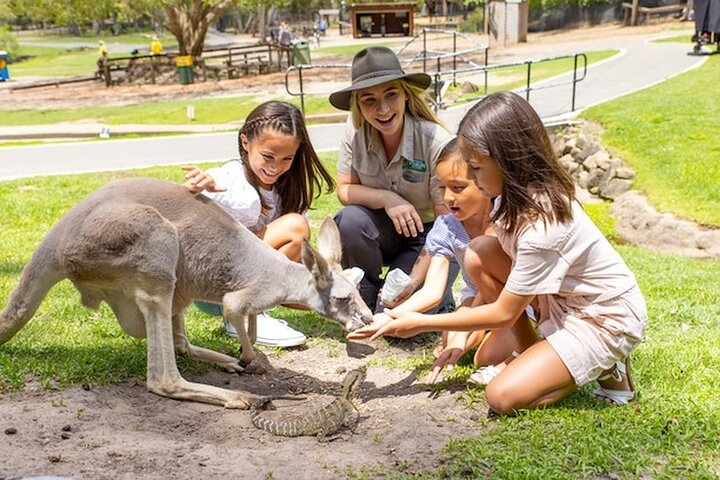 Currumbin Wildlife Sanctuary & Burleigh Heads Private Tours DI004OGm