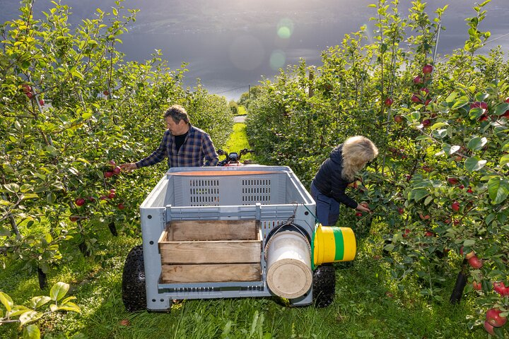 Cider Tour - Hardanger ghHENoSB