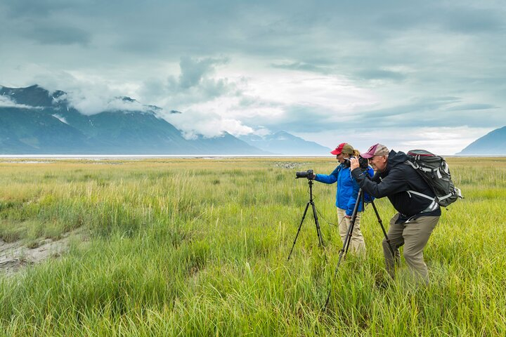 Turnagain Arm Highlights Photo Tour 0JgAajjx