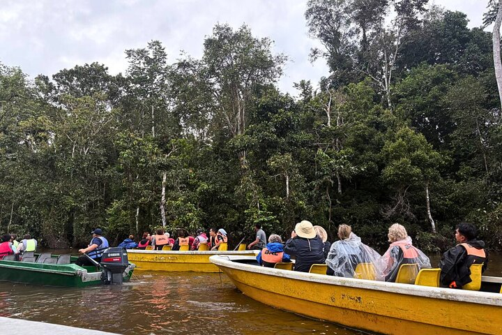 From Sandakan to Kinabatangan River Safari Boat Cruise Day Tour bMN5cSJf