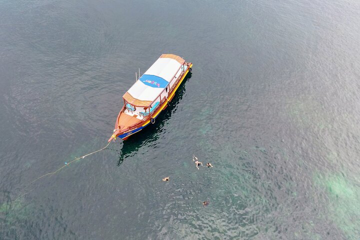 Koh Tao's First Light Snorkel Adventure with Oxygen Tours fEH1sCDZ