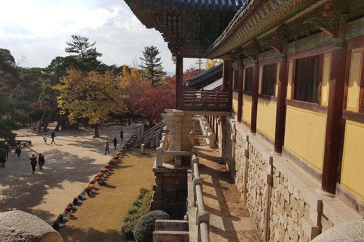 Gyeongju city tour From BUSAN - UNESCO World Heritage Site VjhKRwb6