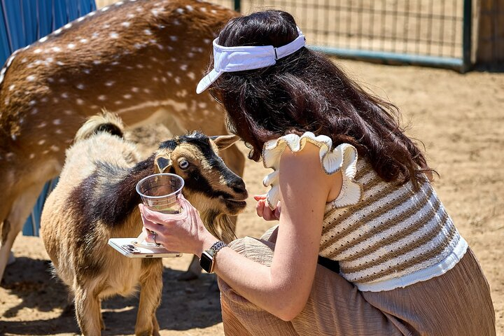 Fredericksburg Safari Tour With Wine Tasting wRgBv4aQ