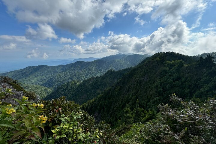 Best of the Smokies Custom Private Tour zI5J6Mll