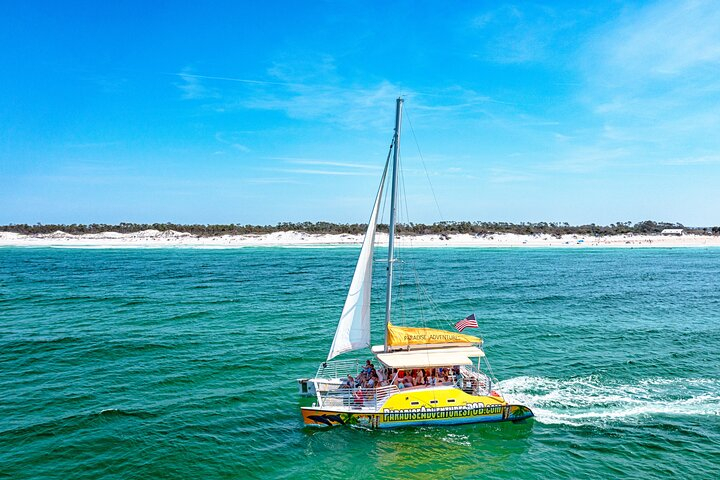 Footloose Catamaran Snorkel and Dolphin Watch Tour cX1rEUNA