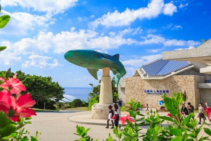 Okinawa Hip-hop Bus B - 1 Course Tour (Okinawa Churaumi Aquarium) ygw1NBuj