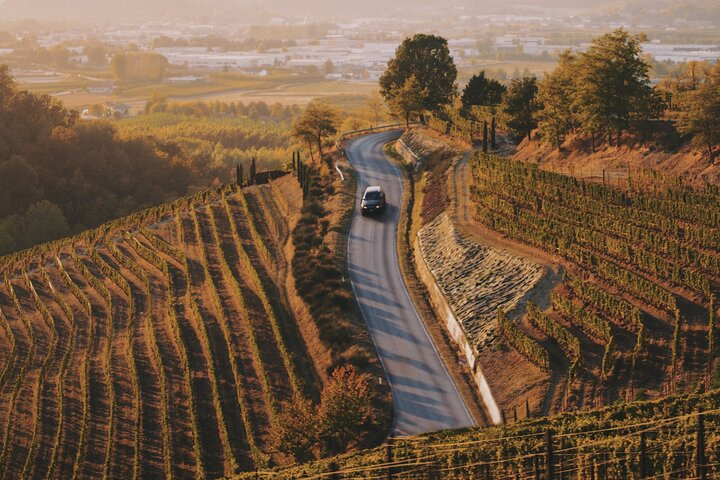 6-hour Private Luxury SUV Wine Tour in Napa Or Sonoma Valley Jfx0wjXf