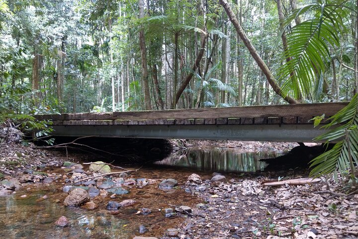 Port Macquarie Scenic Tour to the Hastings Hinterland region 4GhWheYI
