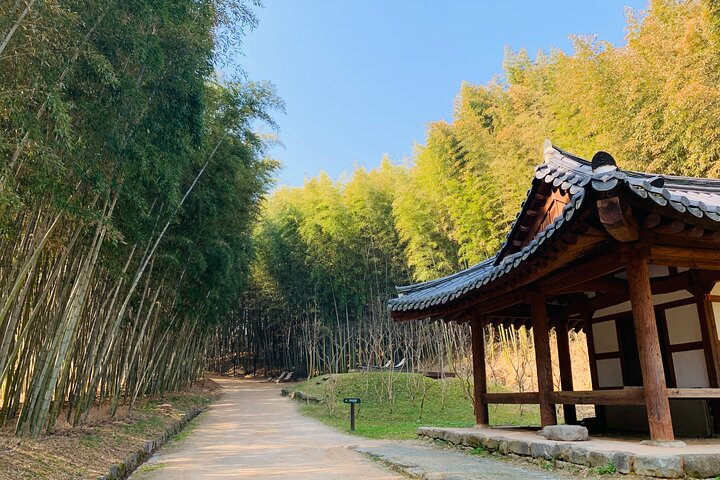 Damyang Bamboo Forest Tour (Private) 1roVYEQ0
