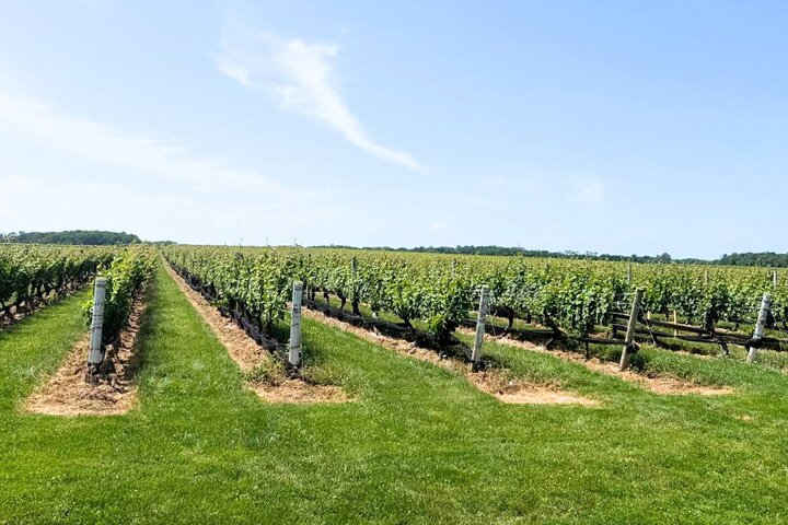 Private Luxury Wine Tours of Long Island Pindar Winery cRvB4ciY