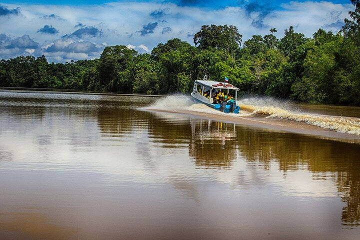 Kinabatangan Wildlife River Cruise 3-Day Tour Yl6hVV6c