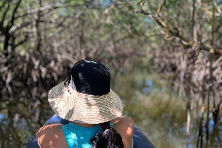 2- Hour Jungle Tour at Prehistoric Preserve Site in Fort Pierce F9bj5HqB