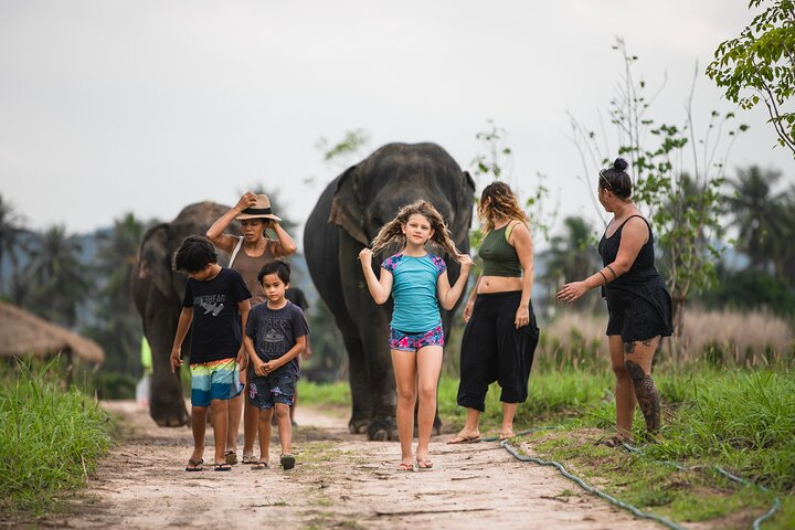 Elephant Jungle Sanctuary: Half Day Morning Program WOHNtagA