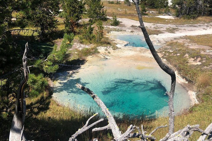 Private Hidden Gems of Yellowstone! Lunch w/ family friendly hikes included! WdYllDrd