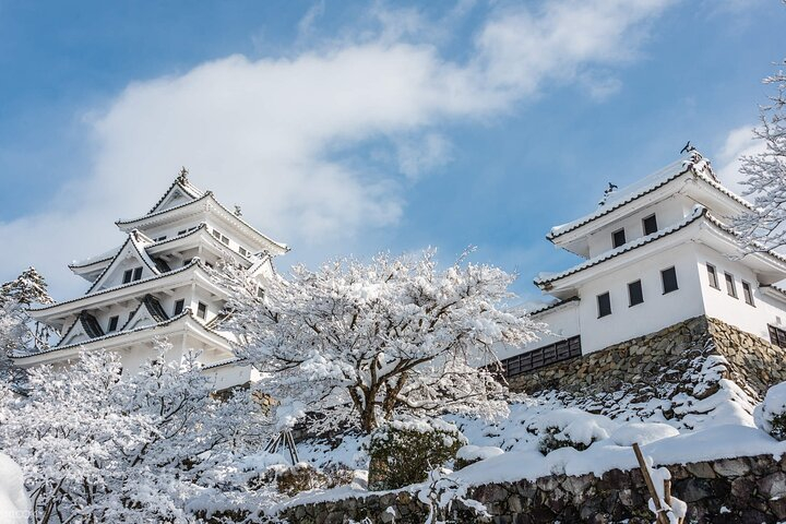 Shirakawago, Gujo Hachiman and Hida Takayama Day Tour WRVbEvwL