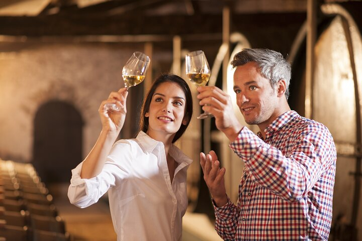 Half-day Private Wine Tour of the Northern Rhone Valley from Lyon a5mLr3oA