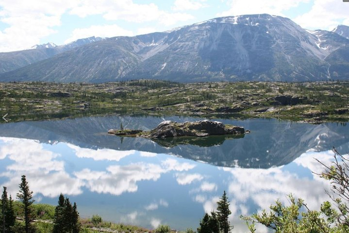 Half Day Yukon Suspension Bridge & Summit Tour ryitTeJN