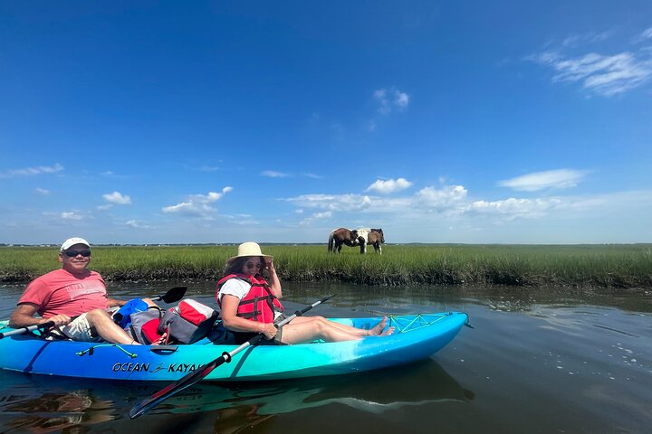 Guided Assateague Kayaking and Wildlife Discovery Tour gI3mpeWu