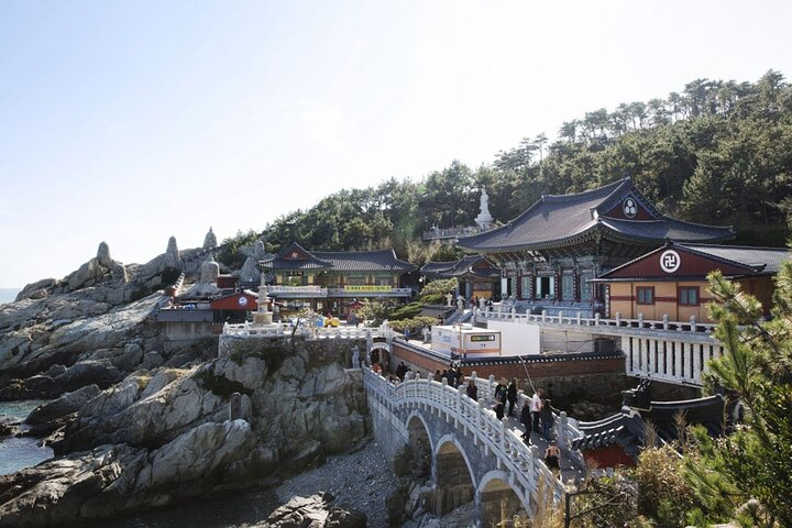 Busan Port Cruise Shore Excursion Private Taxi Tour Car Charter 1rRXhK2t